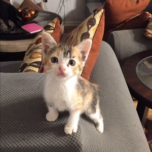 Meet your Posher, Clay